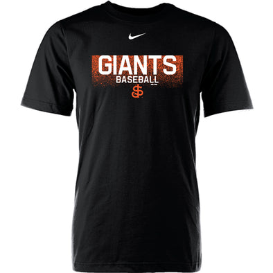 Men's Nike Black San Francisco Giants Practice Performance T-Shirt
